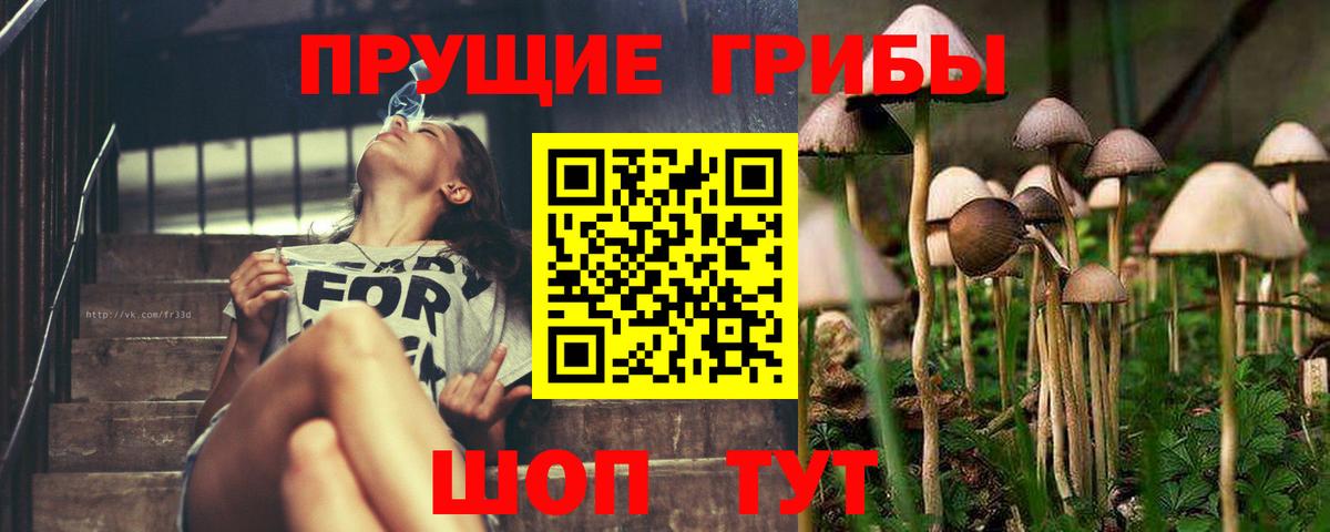 Псилоцибиновые грибы Cubensis Волгодонск