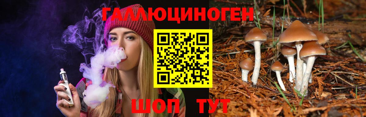 Волгодонск  Псилоцибиновые грибы GOLDEN TEACHER  Вход с VPN 
